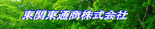 ֓ʏ